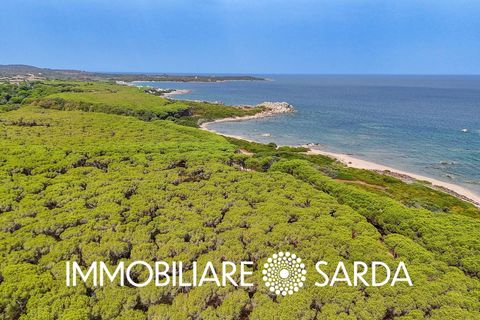 Helårsgrund i Aglientu, Sassari, Aglientu - € 590.000 | Ref: TVI-01-25b - foto 19