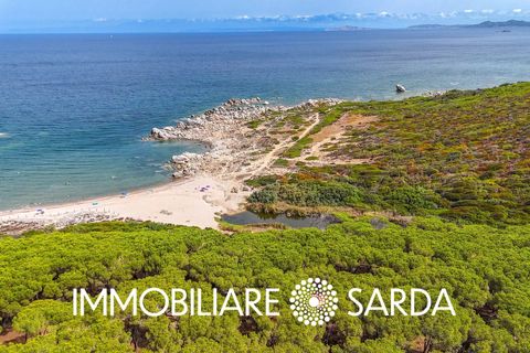 Helårsgrund i Aglientu, Sassari, Aglientu - € 590.000 | Ref: TVI-01-25b - foto 20