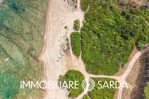 Helårsgrund i Aglientu, Sassari, Aglientu - € 590.000 | Ref: TVI-01-25b - foto 22
