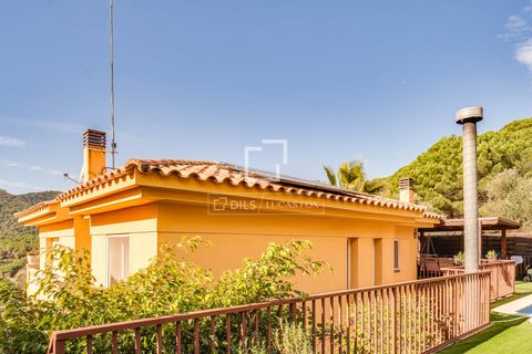 Villa a Vilassar De Dalt, Barcelona, Vilassar De Dalt - € 750.000 | Ref: MRS66366 - foto 31