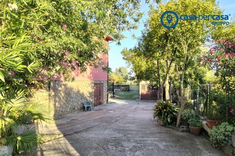 Villa a Rovigo, Rovigo, Rovigo - € 150.000 | Ref: CRSD62 - foto 4