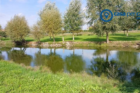 Villa a Rovigo, Rovigo, Rovigo - € 150.000 | Ref: CRSD62 - foto 29