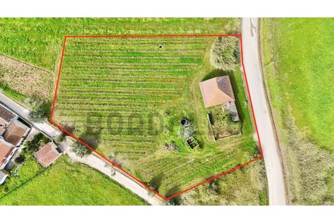 Villa i Carvalhal, Leiria, Carvalhal - € 150.000 | Ref: CAS_897_RC - foto 1