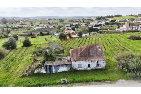 Villa i Carvalhal, Leiria, Carvalhal - € 150.000 | Ref: CAS_897_RC - foto 2