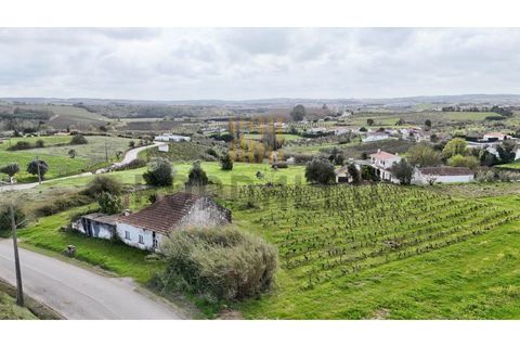 Villa i Carvalhal, Leiria, Carvalhal - € 150.000 | Ref: CAS_897_RC - foto 3