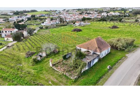 Villa i Carvalhal, Leiria, Carvalhal - € 150.000 | Ref: CAS_897_RC - foto 4