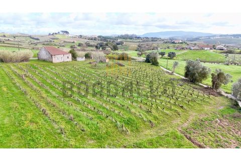 Villa i Carvalhal, Leiria, Carvalhal - € 150.000 | Ref: CAS_897_RC - foto 5