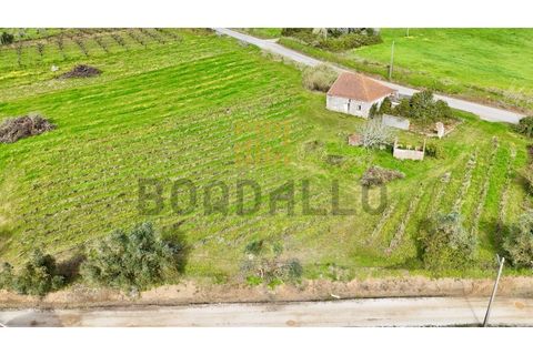 Villa i Carvalhal, Leiria, Carvalhal - € 150.000 | Ref: CAS_897_RC - foto 6