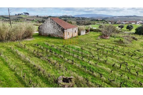 Villa i Carvalhal, Leiria, Carvalhal - € 150.000 | Ref: CAS_897_RC - foto 7