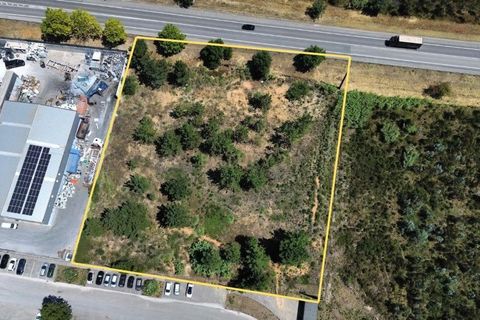 Helårsgrund i Pombal, Leiria, Pombal - € 475.000 | Ref: C0381-00619 - foto 1