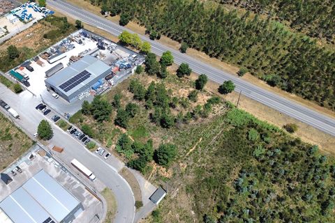 Helårsgrund i Pombal, Leiria, Pombal - € 475.000 | Ref: C0381-00619 - foto 4