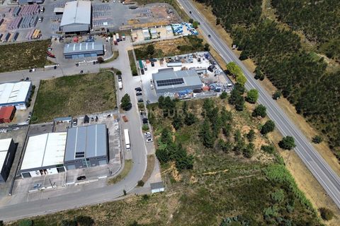 Helårsgrund i Pombal, Leiria, Pombal - € 475.000 | Ref: C0381-00619 - foto 7