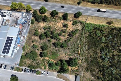 Helårsgrund i Pombal, Leiria, Pombal - € 475.000 | Ref: C0381-00619 - foto 11