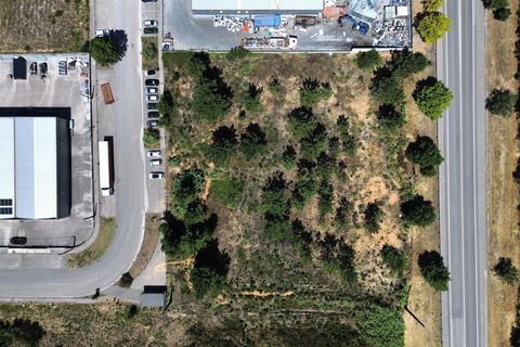 Helårsgrund i Pombal, Leiria, Pombal - € 475.000 | Ref: C0381-00619 - foto 12