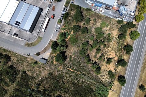 Helårsgrund i Pombal, Leiria, Pombal - € 475.000 | Ref: C0381-00619 - foto 13