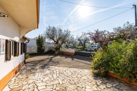 Villa i Pombal, Leiria, Pombal - € 265.000 | Ref: C0381-00882 - foto 33