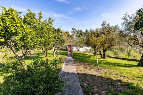 Villa i Pombal, Leiria, Pombal - € 265.000 | Ref: C0381-00882 - foto 35