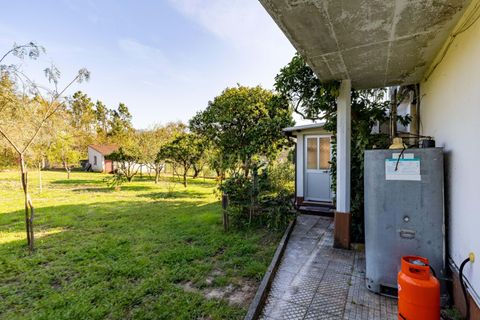 Villa i Pombal, Leiria, Pombal - € 265.000 | Ref: C0381-00882 - foto 37