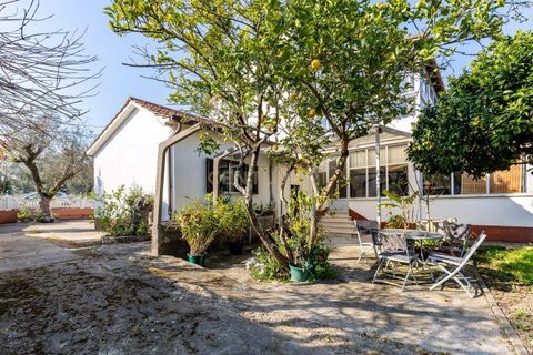 Villa i Pombal, Leiria, Pombal - € 265.000 | Ref: C0381-00882 - foto 40