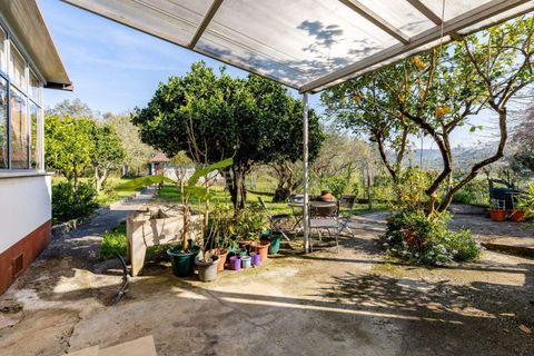 Villa i Pombal, Leiria, Pombal - € 265.000 | Ref: C0381-00882 - foto 42