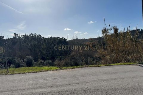 Helårsgrund i Pombal, Leiria, Pombal - € 34.500 | Ref: C0381-00763 - foto 3
