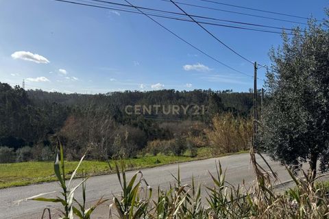 Helårsgrund i Pombal, Leiria, Pombal - € 34.500 | Ref: C0381-00763 - foto 4