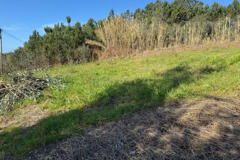 Helårsgrund i Pombal, Leiria, Pombal - € 34.500 | Ref: C0381-00763 - foto 6