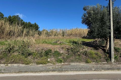 Helårsgrund i Pombal, Leiria, Pombal - € 34.500 | Ref: C0381-00763 - foto 7
