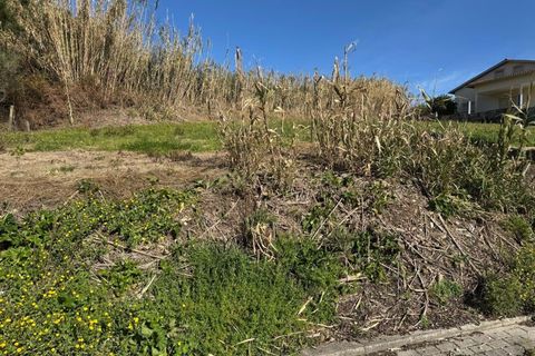 Helårsgrund i Pombal, Leiria, Pombal - € 34.500 | Ref: C0381-00763 - foto 8