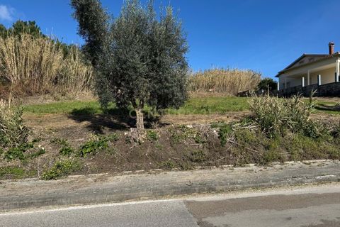 Helårsgrund i Pombal, Leiria, Pombal - € 34.500 | Ref: C0381-00763 - foto 9