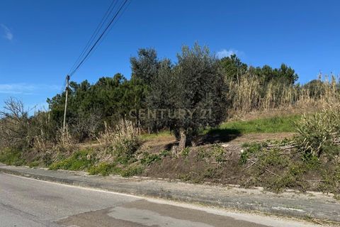 Helårsgrund i Pombal, Leiria, Pombal - € 34.500 | Ref: C0381-00763 - foto 10