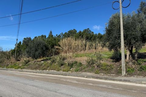 Helårsgrund i Pombal, Leiria, Pombal - € 34.500 | Ref: C0381-00763 - foto 11