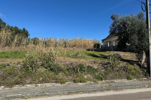 Helårsgrund i Pombal, Leiria, Pombal - € 34.500 | Ref: C0381-00763 - foto 12