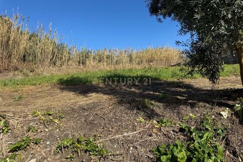Helårsgrund i Pombal, Leiria, Pombal - € 34.500 | Ref: C0381-00763 - foto 14