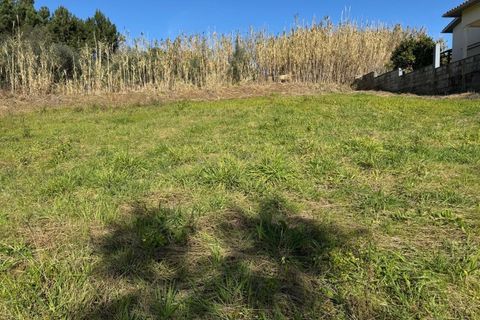 Helårsgrund i Pombal, Leiria, Pombal - € 34.500 | Ref: C0381-00763 - foto 15