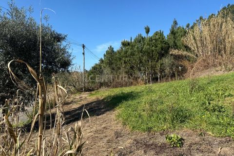 Helårsgrund i Pombal, Leiria, Pombal - € 34.500 | Ref: C0381-00763 - foto 16