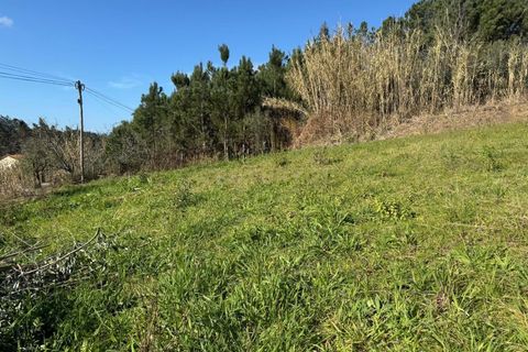 Helårsgrund i Pombal, Leiria, Pombal - € 34.500 | Ref: C0381-00763 - foto 17