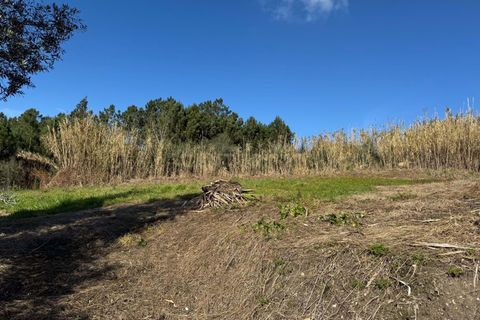 Helårsgrund i Pombal, Leiria, Pombal - € 34.500 | Ref: C0381-00763 - foto 18