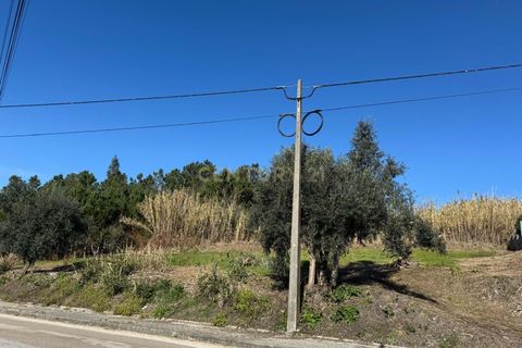 Helårsgrund i Pombal, Leiria, Pombal - € 34.500 | Ref: C0381-00763 - foto 19