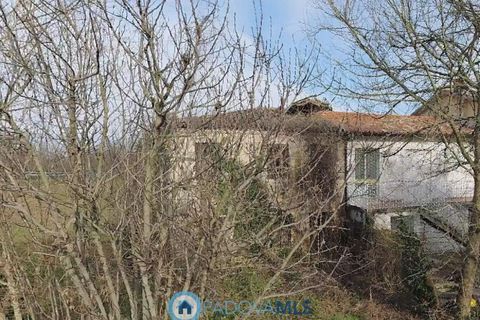 Rækkehus i Padua, Padua, Padua - € 100.000 | Ref: MLS2123-1195 - foto 13