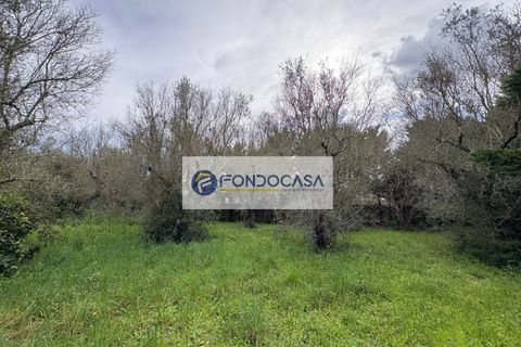 Villa a Maglie, Lecce, Maglie - € 220.000 | Ref: 102 - foto 40