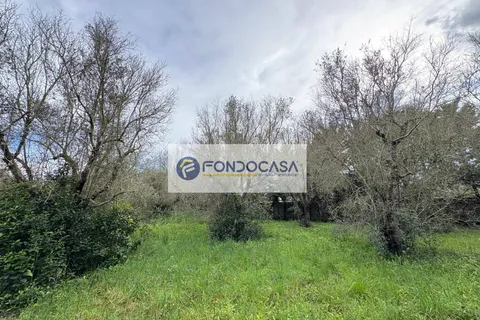 Villa a Maglie, Lecce, Maglie - € 220.000 | Ref: 102 - foto 41