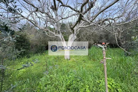 Villa a Maglie, Lecce, Maglie - € 220.000 | Ref: 102 - foto 42
