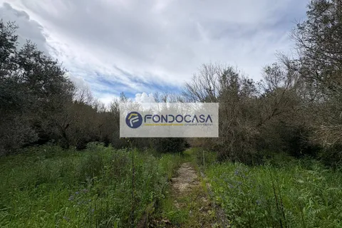 Villa a Maglie, Lecce, Maglie - € 220.000 | Ref: 102 - foto 43