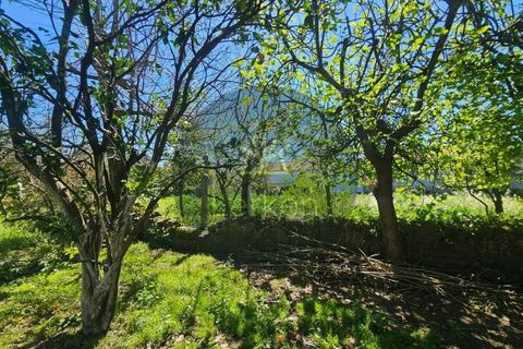 Villa i Barcelos, Braga, Barcelos - € 690.000 | Ref: QUI-00001 - foto 23