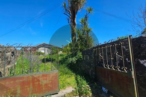 Villa i Barcelos, Braga, Barcelos - € 690.000 | Ref: QUI-00001 - foto 26