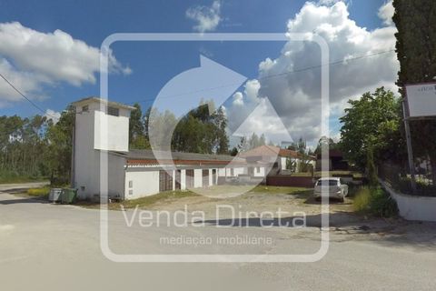 Erhvervsejendom i Anadia, Aveiro, Anadia - € 192.000 | Ref: VD-2603075/W1/DD - foto 12