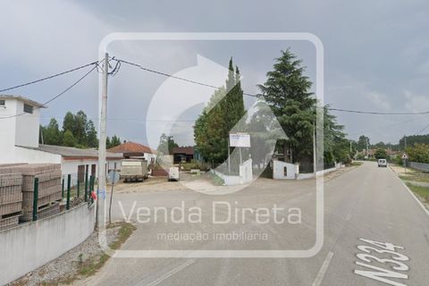 Erhvervsejendom i Anadia, Aveiro, Anadia - € 192.000 | Ref: VD-2603075/W1/DD - foto 14