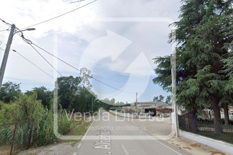 Erhvervsejendom i Anadia, Aveiro, Anadia - € 192.000 | Ref: VD-2603075/W1/DD - foto 15