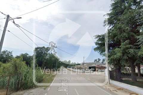 Erhvervsejendom i Anadia, Aveiro, Anadia - € 192.000 | Ref: VD-2603075/W1/DD - foto 17